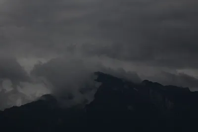 DSC_6395 (Large).JPG